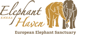 Bezoek de website van Elephant Haven voor meer informatie over hun nobele project!